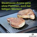 OUTDOORCHEF Blazinglas® XL für Napoleon Prestige PRO, Prestige, Rogue SE - 2