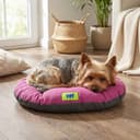 Ferplast Cuccia Cane Relax, Cuscino per cani di taglia piccola, Cuccia Gatto, Tappetino per cucce e auto -Lavabile - in Cotone con Soffice Imbottitura, 55 x 36 cm. Viola - 2