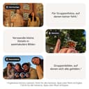 Google Pixel 9a: Android-Smartphone ohne SIM-Lock, mit KI-Kamera, 24 Stunden Akkulaufzeit und leistungsstarken Sicherheitsfunktionen – Obsidian, 128GB - 4