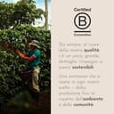 illy, Caffè in Grani da Macinare INTENSO, 100% Arabica con Note di Cacao e Frutta Secca, Retrogusto Pieno e Corposo, 1 Barattolo da 250g - 6