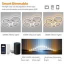 ycwdcz Plafoniera con Ventilatore da Soffitto Compatibile con Alexa, Google Assistant, Anelli Lampadario Led con Ventilatore da Soffitto, Dimmerabile, Motore DC, Ventola Soffitto con Luce - 4