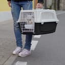Ferplast Transportbox Katze, Hundetransportbox kleine Hunde und Katzen bis 8 kg, Dach zu öffnen, mit Kissen und Napf, Lüftungsschlitze, 37x58xH 32cm, Transportbehälter Atlas 20 Open - 3