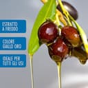 Olio Extravergine di Oliva Classico De Cecco | 6 Bottiglie da 1 L (0,916 L cad.) | Totale 5 Litri | Formato Scorta Convenienza - 4