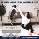ZENAPOKI Cuccia per cani – XL letto ortopedico per cani, ottimo per le articolazioni, materasso in memory foam, cuscino per cani in gel che regola la temperatura - 4