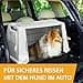 Ferplast Atlas Car 100 Transport Box for Dogs and Cats, Plastic, with Practical, Two-Way Sliding Door and Accessories Compartment, grey - 2