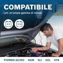 Bosch C30 Caricabatterie per Auto, 6 V - 12 V / 3,8 A, con Carica di Mantenimento - per Batterie al Piombo-Acido, EFB, GEL, AGM e SLI da 6 V/12 V - 4