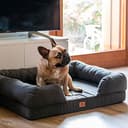 Ferplast Cama ortopédica para Perros MEMOR-One L Memory Foam Espuma de Memoria, Retirable Funda Extraíble, Lavable - 3