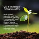 Caffè Borbone Kompostierbare Kaffeepads, Blaue Kaffeemischung - 50 Pads - Kompatibel mit ESE System Papier Pads 44 mm - 11