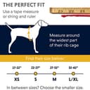 Ruffwear doubleback Harness ridisegnato, Medio, nubifragio Grigio - 2