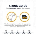 Ruffwear Web Master Multi-Use Dog Harness, Rugged Environments, Working Dogs, Medium Breeds, Adjustable Fit, Size: XX-Small (33-43 cm), Blue Dusk - 2