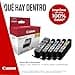 Canon PGI-580 + CLI-581, Cartuchos de Tinta Original, 5 Cartuchos de Tinta Independientes, 2 Color Negro y 3 Color Amarillo, Magenta y Cian, Compatible con Impresoras de Inyección de Tinta PIXMA - 2