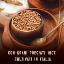 Barilla Pasta Al Bronzo Penne Rigate 100% Grano Italiano, Pasta Trafilata Al Bronzo con Lavorazione al Bronzo Grezzo, Ruvidità Intensa, Formato Spesso e Corposo, Alta Tenuta di Sugo e Cottura, 500 g - 5
