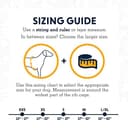 Ruffwear All-Day Dog Front Range Harness, Grey (Twilight Grey), XXS - 2