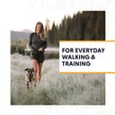 Ruffwear All-Day Dog Front Range Harness, Grey (Twilight Grey), XXS - 3