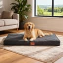 WAVVE Cuccia Cane Grande Ortopedica 112x81x7.6 cm, Cuscino per Cani interno indistruttibile XL, Letto per Cani Sfoderabile Lavabile Impermeabile, Materassino per Cani in Uovo Foam, Grigio - 2