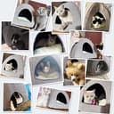 Docatgo Pet Tent Cave Igloo Bed for Cats/Small Dogs - 38x38x40cm 2-In-1 Cat Tent/Cat Bed House with Removable Washable Cushion Pillowslip - Microfiber Indoor Outdoor Pet Beds - 2