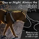 Eagloo Arnes Perro Grande Mediano, Arnes Antitirones Perro Antiescape, Chaleco Acolchado Ajustable, Anillos de Pecho y Espalda, Transpirable con Cinta Reflectante, Ejercer Correr, L Negro - 8