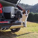 Ferplast Trasportino per Cani di Taglia Media Atlas 50, Box per Trasporto Cani, Porta in Acciaio plasticato, Sistema di Chiusura di Sicurezza, Griglie per l'aerazione, 55,5 x 81 x h 60 cm. - 2