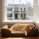 Casa Paw Orthopaedic Waterproof Dog Bed for Extra Large Dogs, Memory Foam, XL Dog Bed with Sides, Egg Crate Foam and Non-Slip Backing, Jumbo Dog Couch Beds with - 8