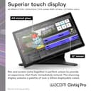 Wacom Cintiq Pro 22 Zeichentablett mit Bildschirm, 54,6 cm (21,5 Zoll) Ultra HD 4K 10-Bit 120Hz Touchscreen Display Graphic Arts Tablet mit Pro Pen 3, für Windows PC, Mac, Linux - 3