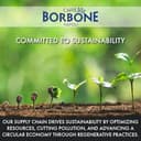 Caffè Borbone Whole Bean Coffee, Blue Blend, Refined and Powerful Flavor - 2.2 Pound (Pack of 2) - 5