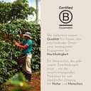 illy, Kaffeebohnen Zum Mahlen CLASSICO, 100% Arabica mit Noten von Orangenblüten und Jasmin, Sanfter Geschmack und Süßer Nachgeschmack, 1 Dose mit 500g - 5