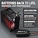 NOCO GENIUS10: 10A 6V/12V Smart Battery Charger – Automatic Maintainer, Trickle Charger & Desulfator with Overcharge Protection & Temperature Compensation – For Lead-Acid & Lithium Batteries - 6