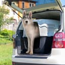 Ferplast Trasportino Cane CLIPPER 7, IATA, Trasportino Cane Taglia Grande max 60 Kg, Trasportino Rigido, Viaggio Animali Auto Aereo Treno, 105 x 75 x h 79 cm, Porta in Acciaio, Chiusura Sicura - 2