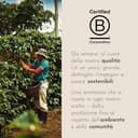 illy, Caffè Macinato per Espresso Tostato CLASSICO, 100% Arabica con Note di Fiori d'Arancio e Gelsomino, Gusto Morbido e Retrogusto Dolce, Confezione da 250g - 5