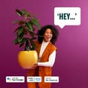 WiZ Smart LED A60 Bulb, White and Full Color, E27 Base, 60W, 806 Lumens, Dimmable, Works with Alexa, Google Assistant, and Apple HomeKit, Pack of 1 - 8