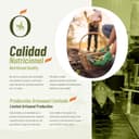 Aceite de oliva virgen extra dúo picual y arbequina pack 2 x 750 ml botella plástico | aove gourmet extraído en frío | aceite premium español cocina diaria | sancho la mancha, dop campo de montiel. - 4