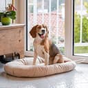 Ferplast Cuscino Cane e Gatto RELAX MICROFLEECE, Cuccia in Caldo e Soffice Micropile per Taglia Media, Lettino per Cani Lavabile, 65 x 42 x 12 cm. Grigio Tortora - 2