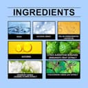 Alpha Pheromonparfüm Herren, 2025 Neu Ecdf Original Roll-on Parfum - 7