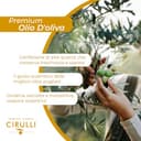 Cirulli Olio Extravergine di Oliva 100% Italiano - 5L Bag in Box con Rubinetto Laterale - Olio EVO Premium - Olio Extravergine dalle Radici Antiche - Raccolto Precoce - Ricco di Polifenoli - 2