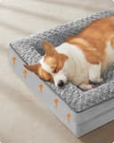 Feandrea Orthopedic Dog Bed for Large Dogs, Memory Foam Dog Bed Sofa Pet Couch with Sides, Removable Washable Cover and Waterproof Liner, 91 x 68 x 16 cm, Dove Grey PGW252G01 - 4