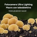 HUAWEI Pura 70 Pro Smartphone, Istantanee Ultra Veloci, Fotocamera Ultra Lighting Macro con Teleobiettivo, Vetro Kunlun Super Resistente, Super Charge, 12 +512GB, +6 Mesi di Garanzia Estesa - 4