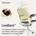 Steelcase Series 1 Ergonomic Office Chair With LiveBack Lumbar Support, 4D Armests, Adjustable Headrest Beige/Moleskin; Made in Europe - 5