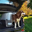 Ferplast Trasportino per Cani di Taglia Media Atlas 60, Box per Trasporto Cani, Porta in Acciaio plasticato, Sistema di Chiusura di Sicurezza, Griglie per l'aerazione, 61 x 91 x h 68 cm. - 10