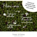 Terre di Lidia - Olio extravergine di oliva - 1 Latta da 5 L- Filiera corta, Campagna 2025/2026, Estratto a freddo - Varietà Coratina, Gusto Intenso - Produzione 100% italiana - 6
