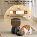 PUPPY KITTY Distributore Automatico Cibo Gatti, 2.4G WiFi Dispenser Cibo Gatti Collegare APP con 10S Registrazion, Ciotola in Acciaio Inossidabile 304, 1-10 Pasti al Giorno, 3L - 3