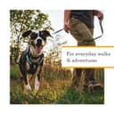 RUFFWEAR Hi & Light Y-Shaped Dog Harness, Extra Large, Lightweight & Padded, No Pull, Quick Release, 2 Lead Attachments, L/XL, Basalt Grey - 3