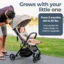 Inglesina Quid Compact Travel Stroller for Babies and Toddlers Ages 3 Months to 50 lbs, Lightweight, Easy to Open, BPA Free - 8