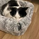 Petface Plush 2 in 1 Cat Cave, Luxury Bamboo Igloo Cat Bed, 35H x 35W x 35L cm - 8