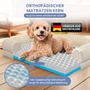 ELONEO orthopädisches Hundebett kleine Hunde - 76x51x17cm, Hundekorb mit Memory Foam, Hundematte wasserdicht und waschbar, Hundekissen, Hundematratze mit weicher Polsterung, Creme - 2