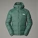 THE NORTH FACE Men's M Hydrenalite Down Hoodie Down Jacket (Pack of 1) - 1