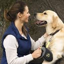 Flexi Giant Professional - Guinzaglio avvolgibile a fettuccia, Per cani fino a massimo 50 kg, Nero/Neon, L - 10m - 7