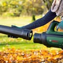 Bosch Home and Garden - Soffiatore per foglie senza fili AdvancedLeafBlower 36V-750 (1 batteria da 2,0 Ah, Sistema a 36 volt, per pulire foglie difficili e aree grandi, Peso leggero: 6 libbre, in - 2