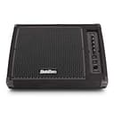 SUBZERO Monitor da Palco Attivo da 10" 200W - 2