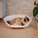 Ferplast Cat Bed, Plastic Dog Bed Small, Ventilation Holes and Non-Slip Rubber Feet for Added Stability 61,5 x 45 x h. 21.5 cm. Green - 3