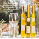 ALBORI Soave - Olio Extravergine di Oliva Italiano 5 Litri NUOVO 2025/2026 Estratto Freddo, Olio di Oliva con Olive Leccino e Peranzana Delicato per Pesce, Carne, Verdura, Box con Versatore Antispreco - 11